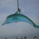 blue dolphin photoshop contest